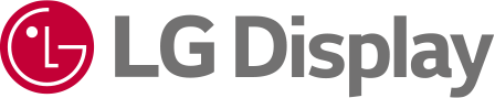 LG DISPLAY